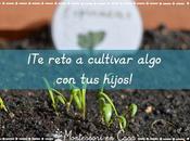 reto cultivar algo niños! challenge grow something with your kids!