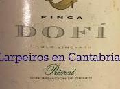 Vino Tinto Finca Dofí 1997: Realmente espectacular