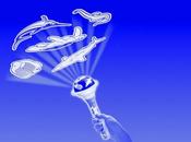 Linterna Proyector “Criaturas Mar”