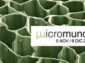 Micromundo: lado invisible ciencia