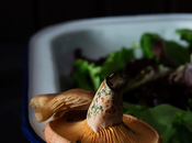Ensalada templada setas