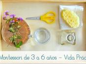 Nuevo curso online Montessori años Vida Práctica