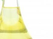 Tipos Aceites para Freir