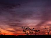 Luna creciente 2015/11/13