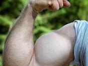 Como Forman Musculos