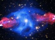 Cygnus rayos