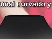 Flex: Análisis Opinión