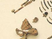 Lucy, fósil reescribió historia evolución humana