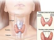 Hiperparatiroidismo: diagnóstico típico insuficiencia renal