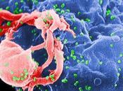 Algunas personas infectadas resistentes virus. Ahora científicos piensan podrían saber porqué