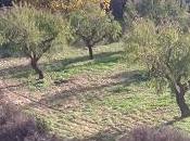 gente joven pueblos pequeños