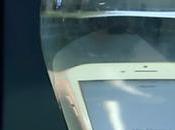 realidad iPhone prueba agua?