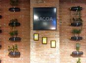 Bacoa