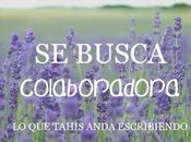 busca colaboradora para Isla Blogs