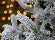 Programa infantil Navidad Mercado Colón Valencia