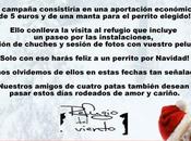 Campaña feliz perro navidad