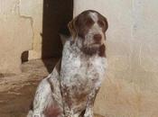 ¡¡tristeza absoluta,resignacion!!