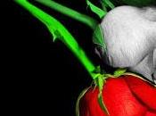 Italia hacen narrativa romántica española