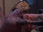 terror tiene forma (The blob, Chuck Russell, 1988. EEUU)