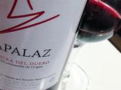 Wine Apalaz 2013 (D.O.Ribera Duero)