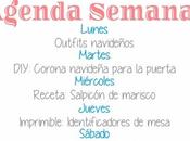 Agenda Semanal 21/12 27/12