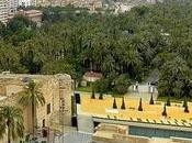 Elche España