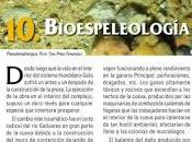 Bioespeleología Sistema Hundidero-Gato