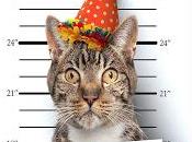 Ganador Sorteo Días Perros