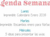 Agenda Semanal 28/12 3/01