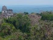 Star Wars Templo Tikal. Guatemala