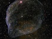 Sharpless 308, burbuja estelar