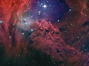 nebulosa Piel Zorro