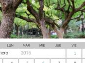 Como crear calendario Gimp