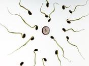 tratamientos para infertilidad contribuirían retrasos desarrollo niños