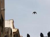 Alfredo pequeñas cosas Mundo