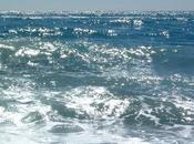 Olor mar......