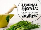 formas preparar wheatgrass