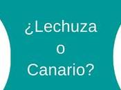 Tendencias personales: ¿canario lechuza?