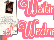 Waiting Wednesday (16): Shot Callers, Belle Aurora