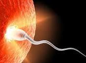 mitos sobre fertilidad: ¿Tengo óvulos contados?