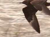 Fidelidad lectores este blog