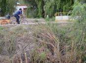 Otra chica trans muerta Neuquén