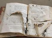 Maltratadores libros
