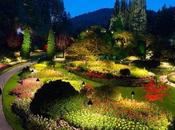 ¡Recorre Jardines Coloridos Mundo!