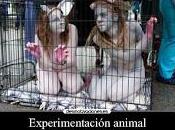 ARGUMENTO: “Debemos experimentar animales humanos”