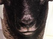 Oveja Tinta, Malbec 2014