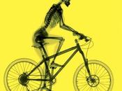 densidad ósea podría problemática aquejan ciclistas nivel competitivo (averigua como afrontarlo)