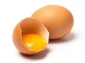 ►Introducción Huevo meses◄