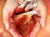 Cómo convertirte donante órganos