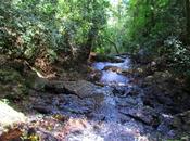 hermoso Salto Escondido.Misiones. Argentina